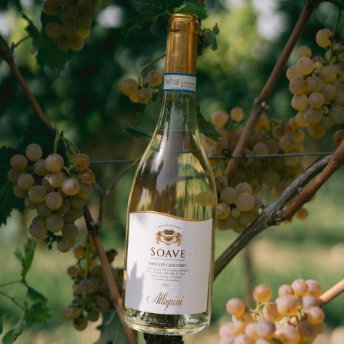 Allegrini Oasi San Giocomo Soave DOC