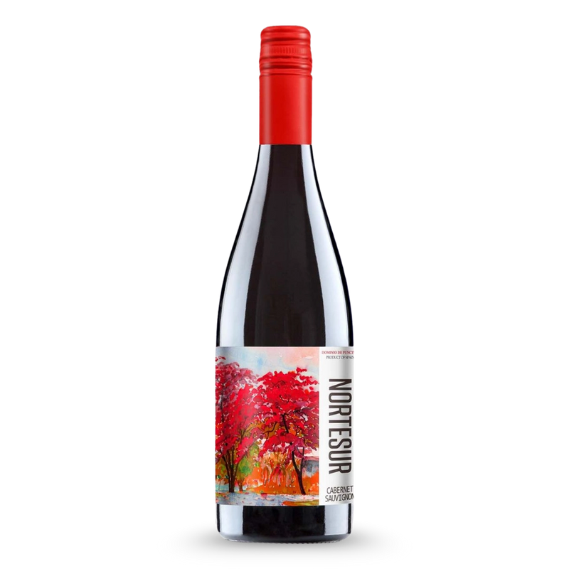 Punctum Nortesur Cabernet Sauvignon BIO