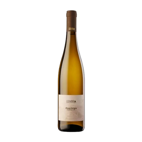 Cembra Pinot Grigio Trentino