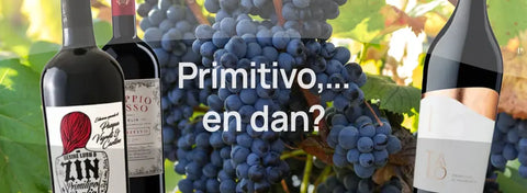 Van Primitivo naar je volgende rode wijn?