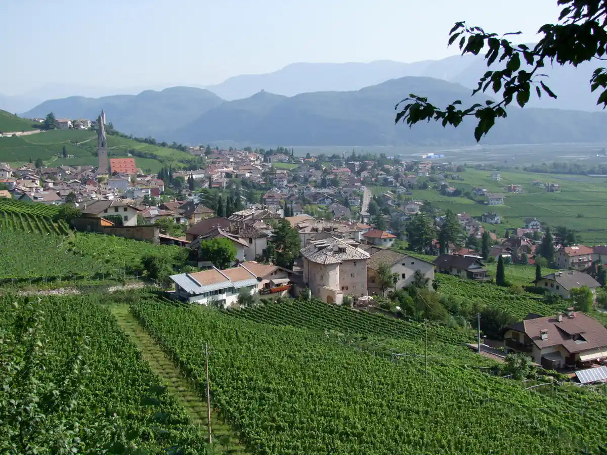 Wijngaarden rond Termeno in Alto Adige met het dorp en de bergen op de achtergrond