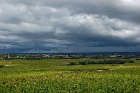 Heuvelachtig wijngaardlandschap in de Beaujolais onder donkere wolken