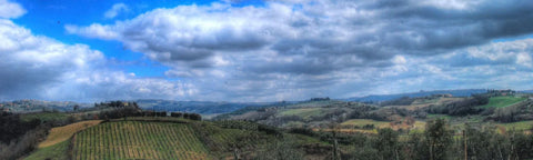 Een heuvelachtig wijngaardlandschap strekt zich uit over het Chianti-gebied in Toscane.