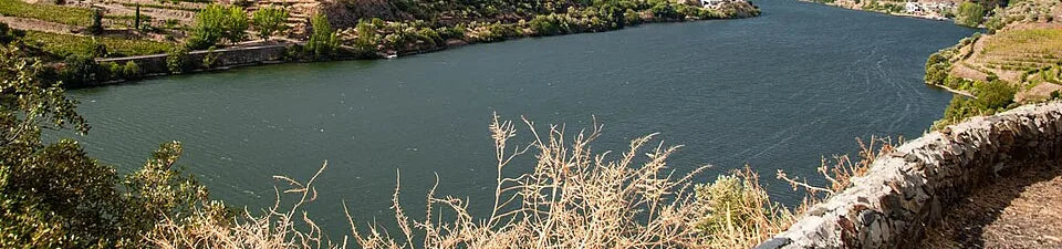 Het uitzicht toont terraswijngaarden en de Douro-rivier in de Dourovallei.