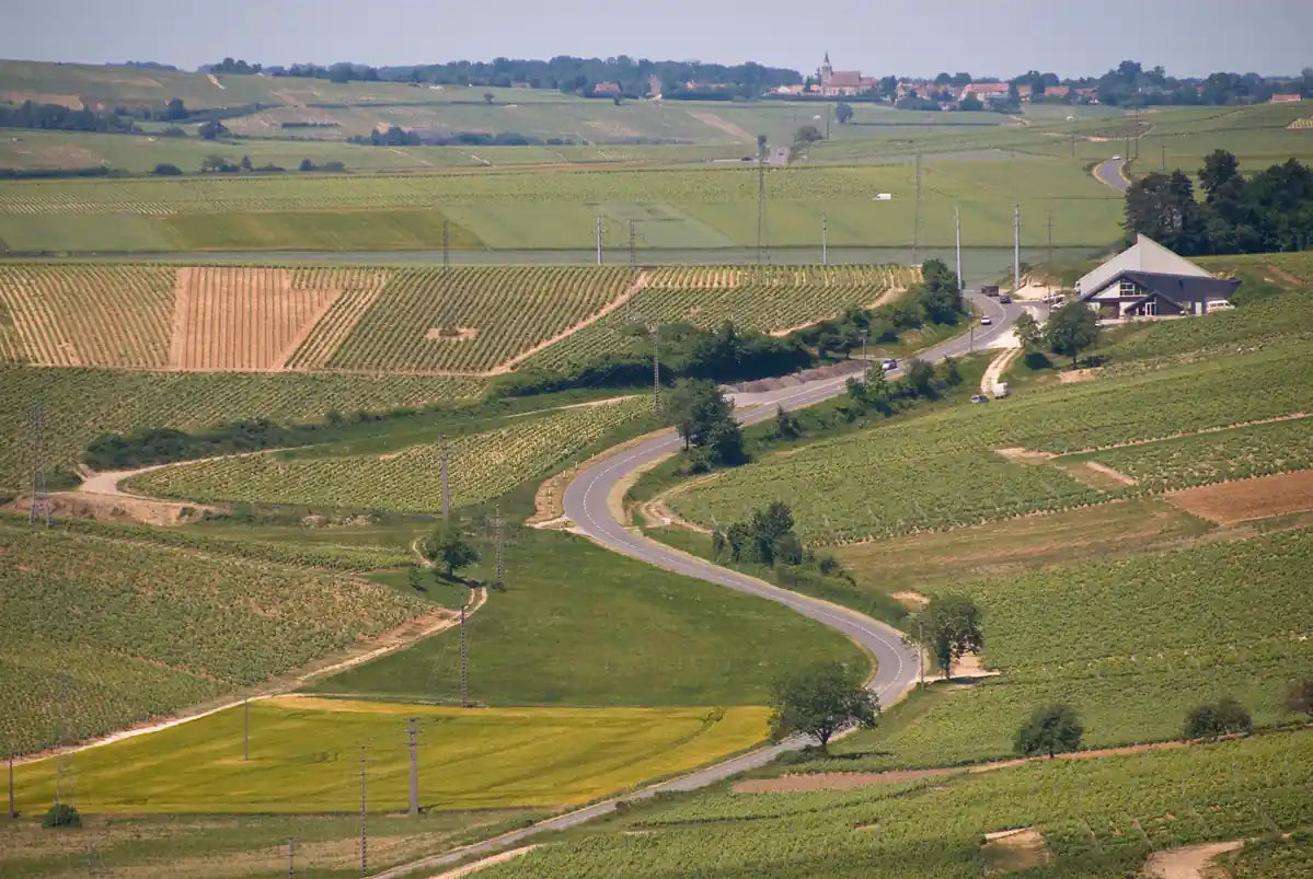 Heuvellandschap met wijngaarden rond Sancerre in de oostelijke Loire