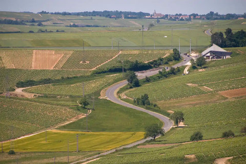 Heuvellandschap met wijngaarden rond Sancerre in de oostelijke Loire