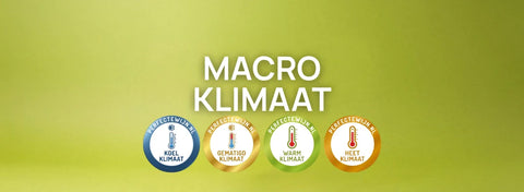 Het klimaat ontcijferd: Hoe klimaat jouw Perfecte Wijn bepaalt