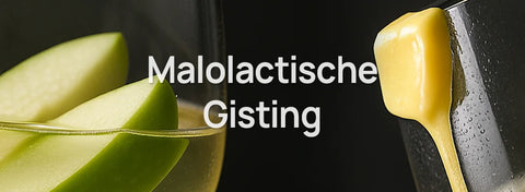 Wat is malolactische gisting?