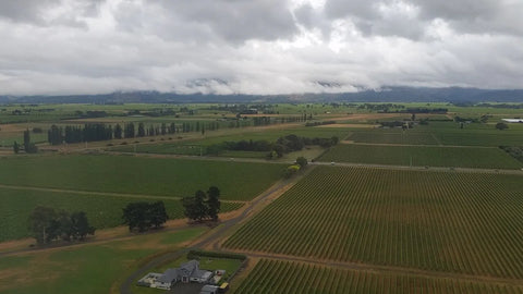 Een luchtfoto toont wijngaarden bij Blenheim in Marlborough.