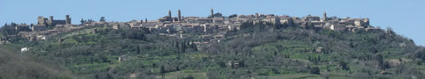 Panorama van de historische heuvelstad Montalcino in Toscane