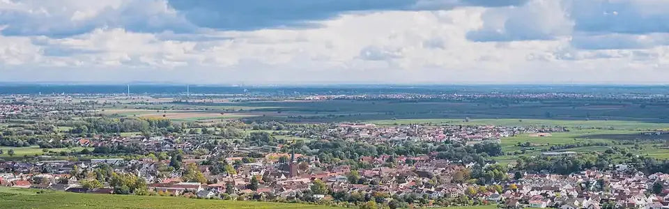Uitzicht over wijngaarden bij Deidesheim in de Pfalz