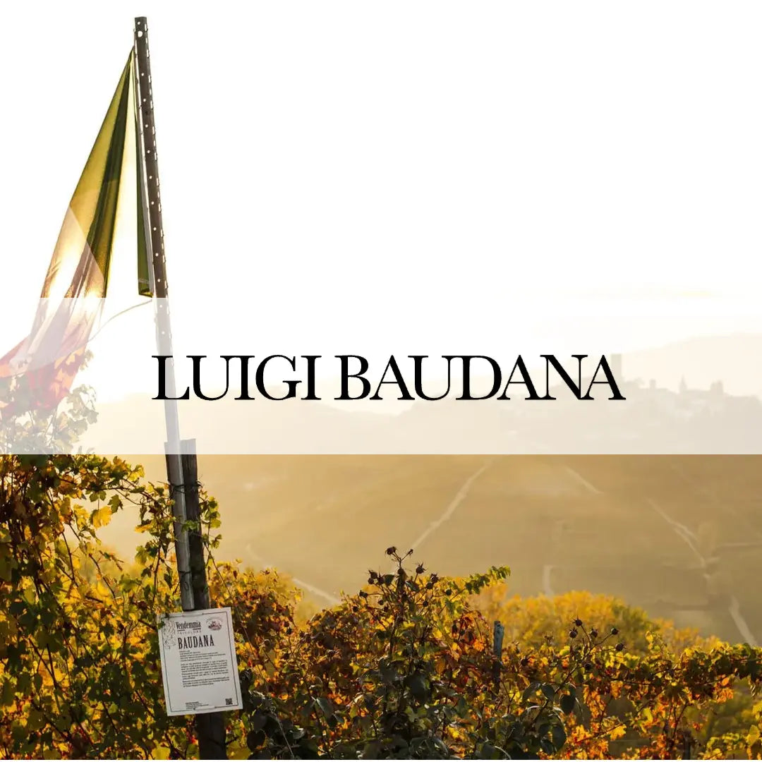 Luigi Baudana