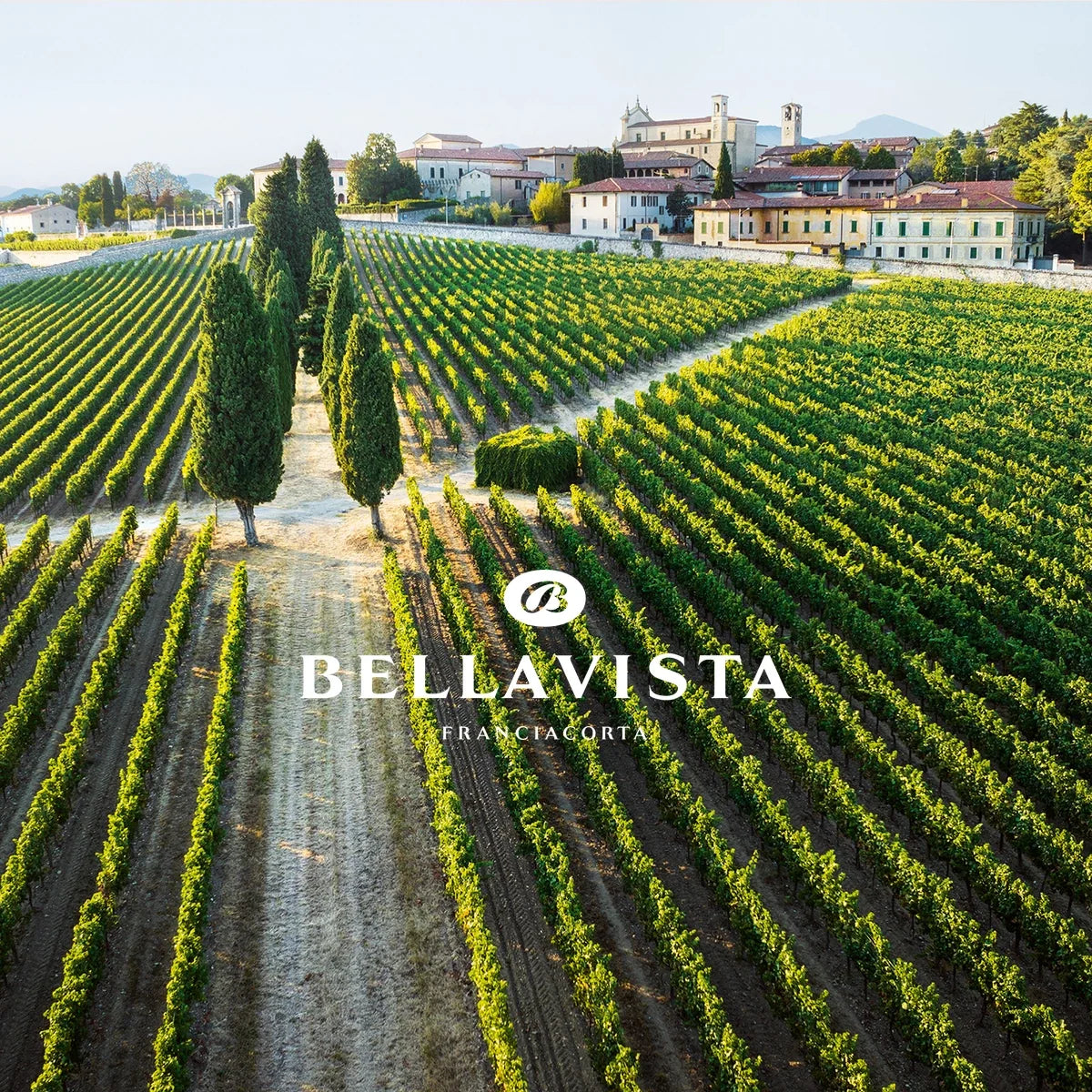 Bellavista — sfeerfoto met origineel logo