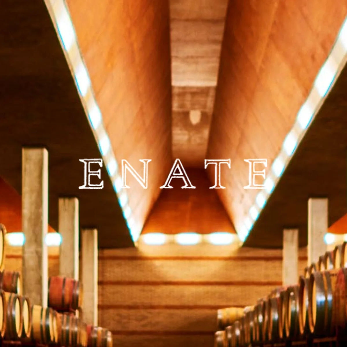 Bodegas ENATE wijnhuis