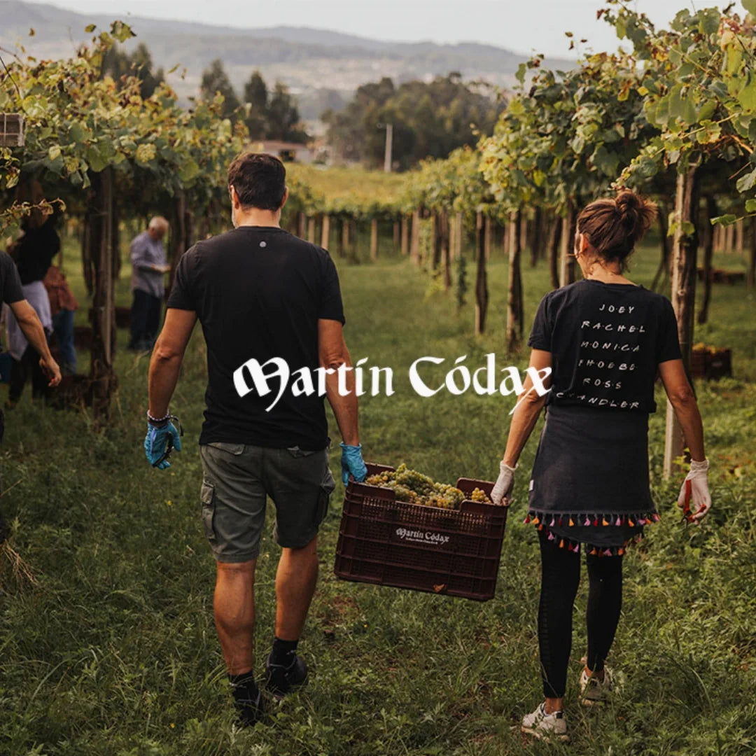 Martin Codax