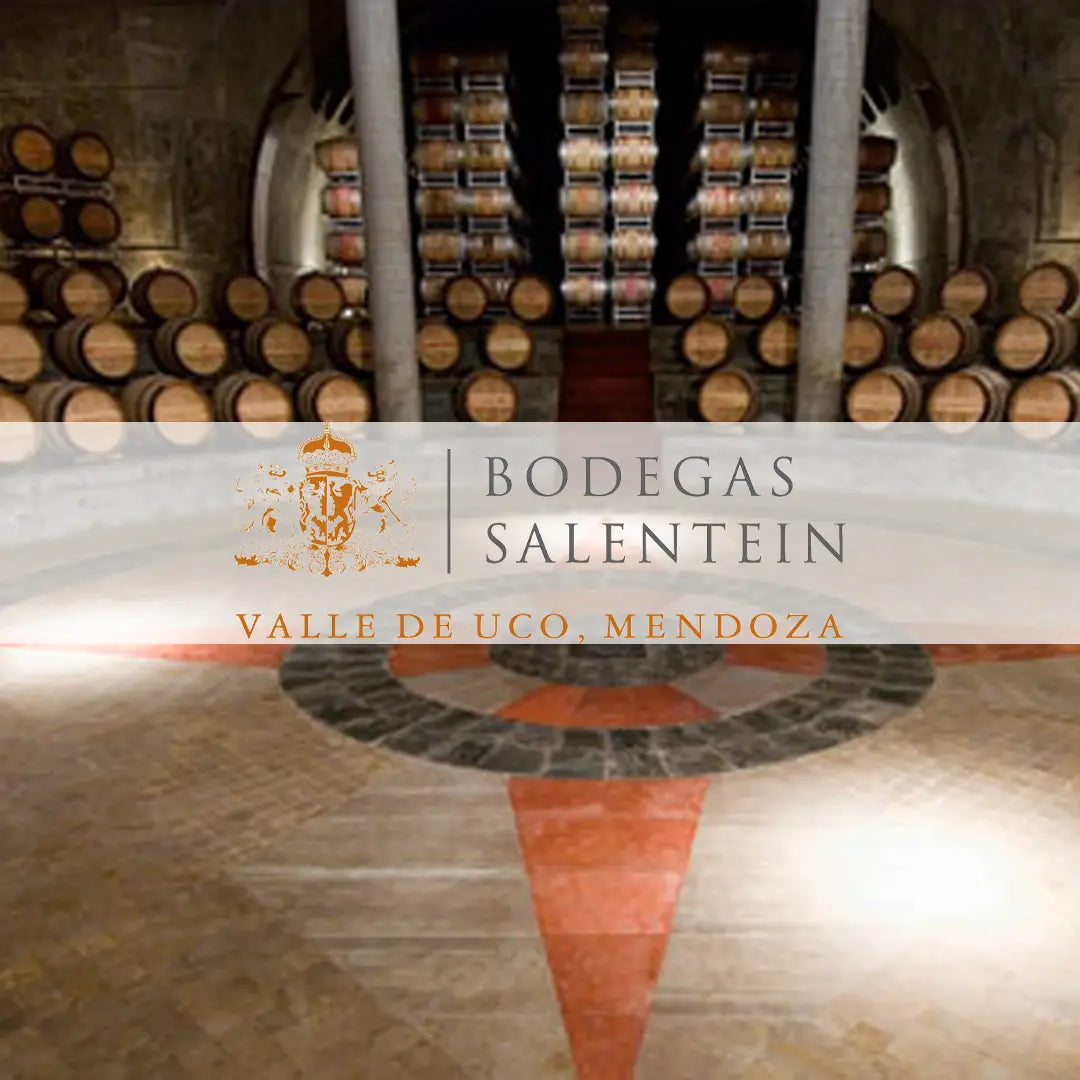 Bodegas Salentein