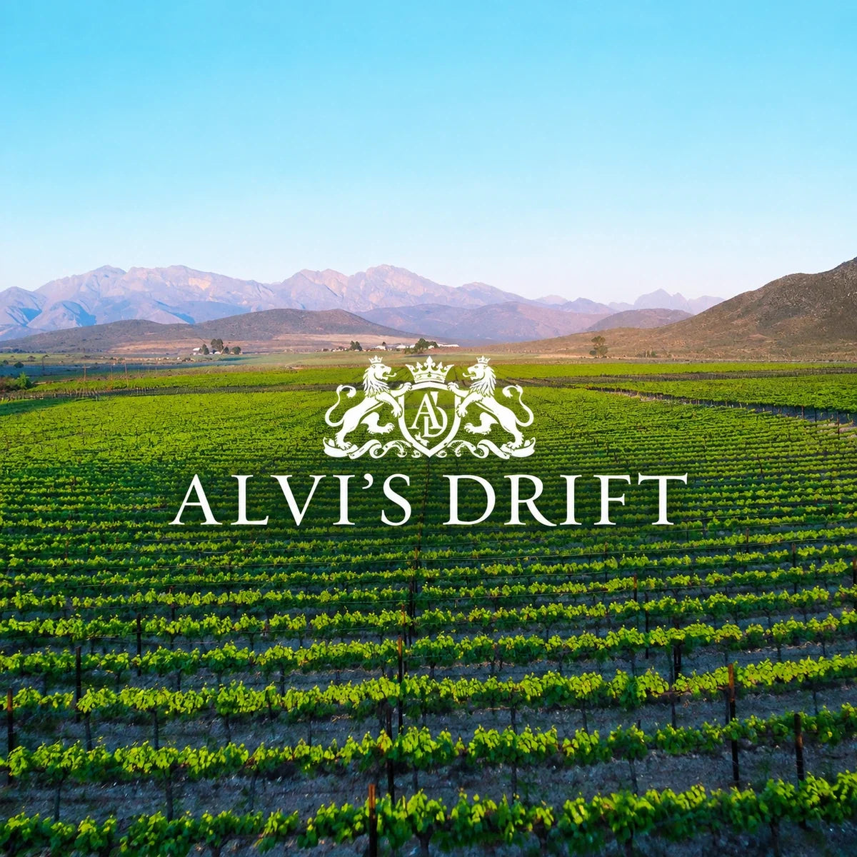 Alvi's Drift, sfeerfoto met logo