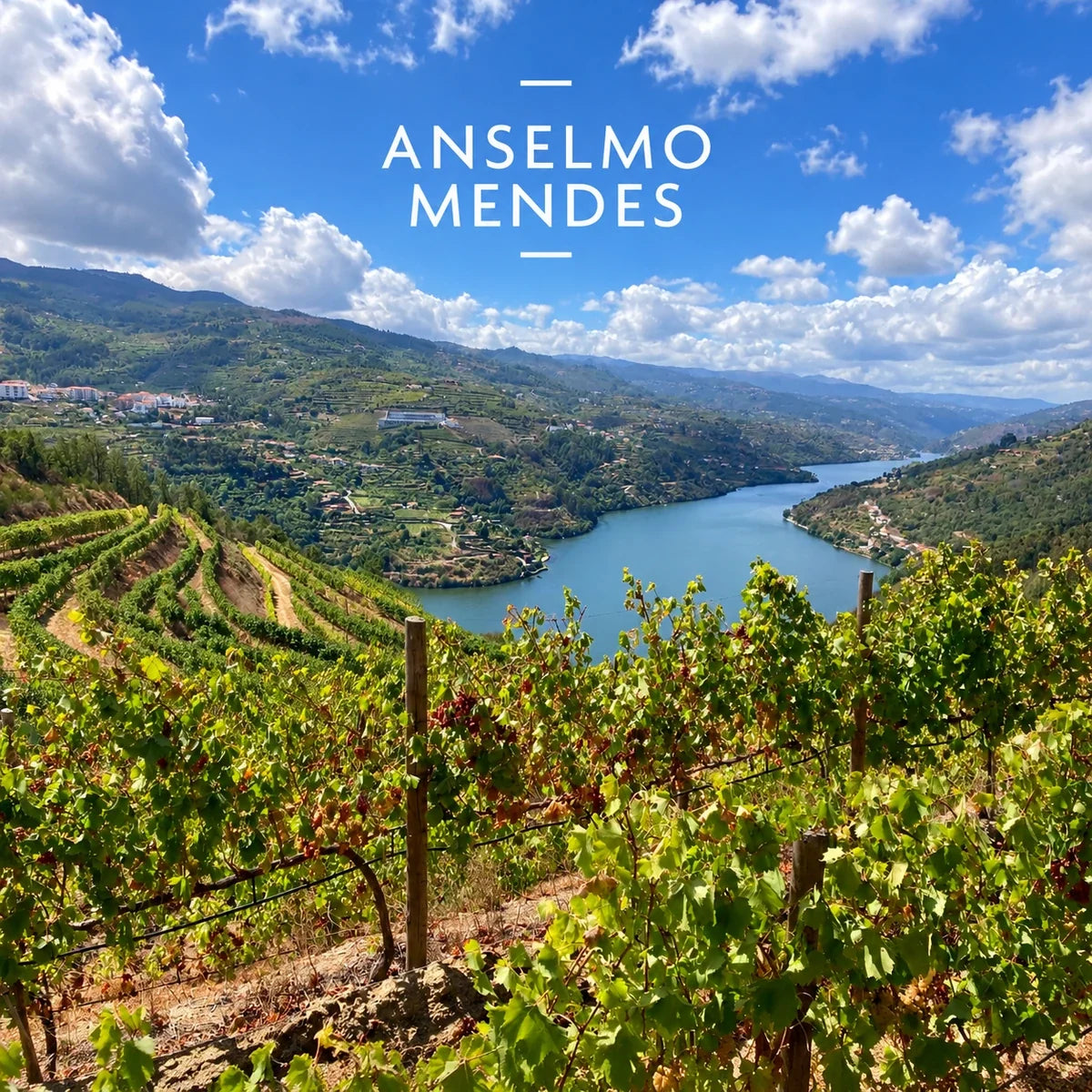 Anselmo Mendes, sfeerfoto met logo