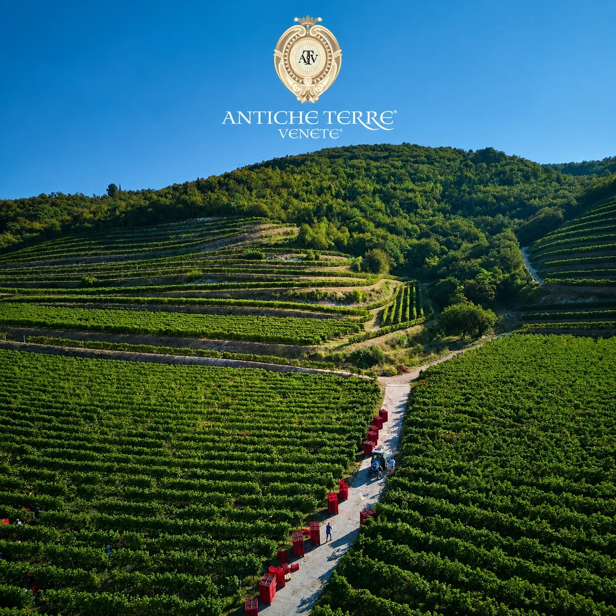 Antiche Terre Venete, sfeerfoto met logo