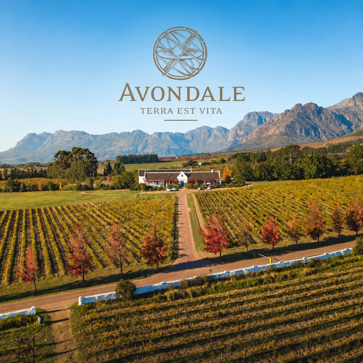 Avondale, sfeerfoto met logo