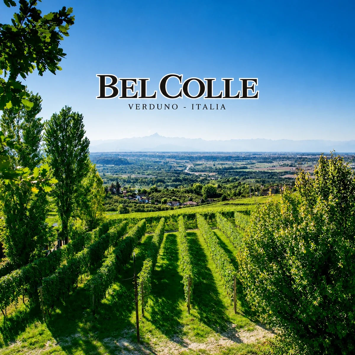 Bel Colle, sfeerfoto met logo