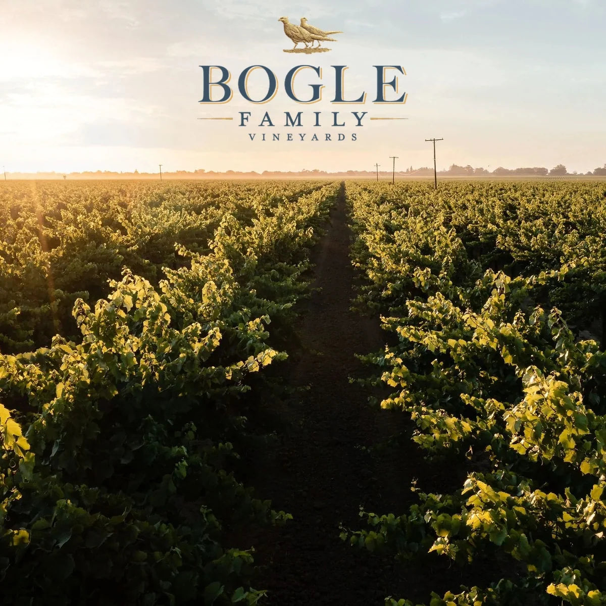Bogle Family Vineyards wijnhuis