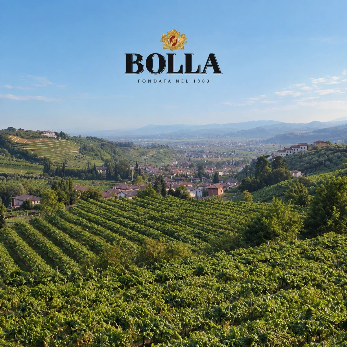 Cantina Bolla, sfeerfoto met logo