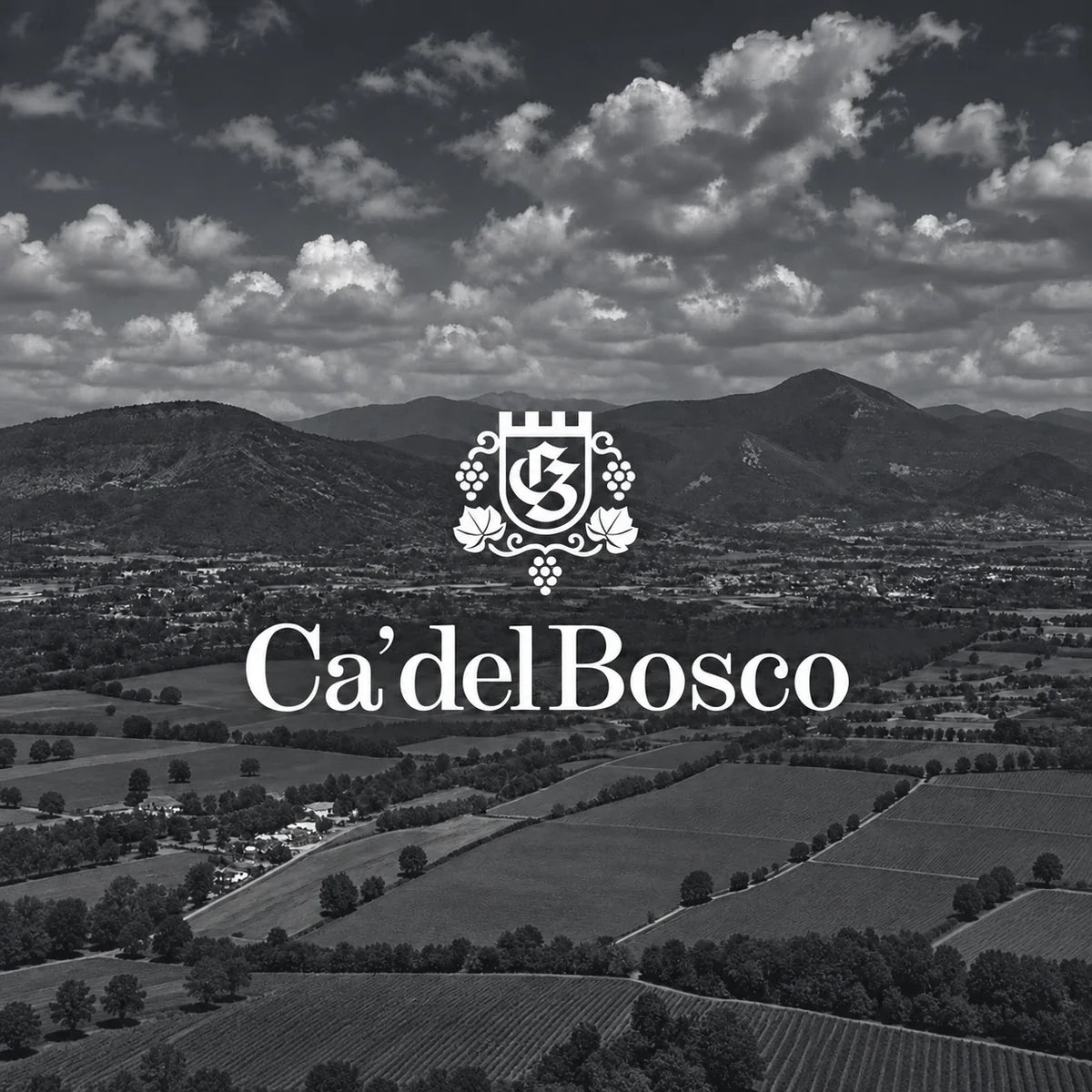 Ca del Bosco met het logo van het wijnhuis
