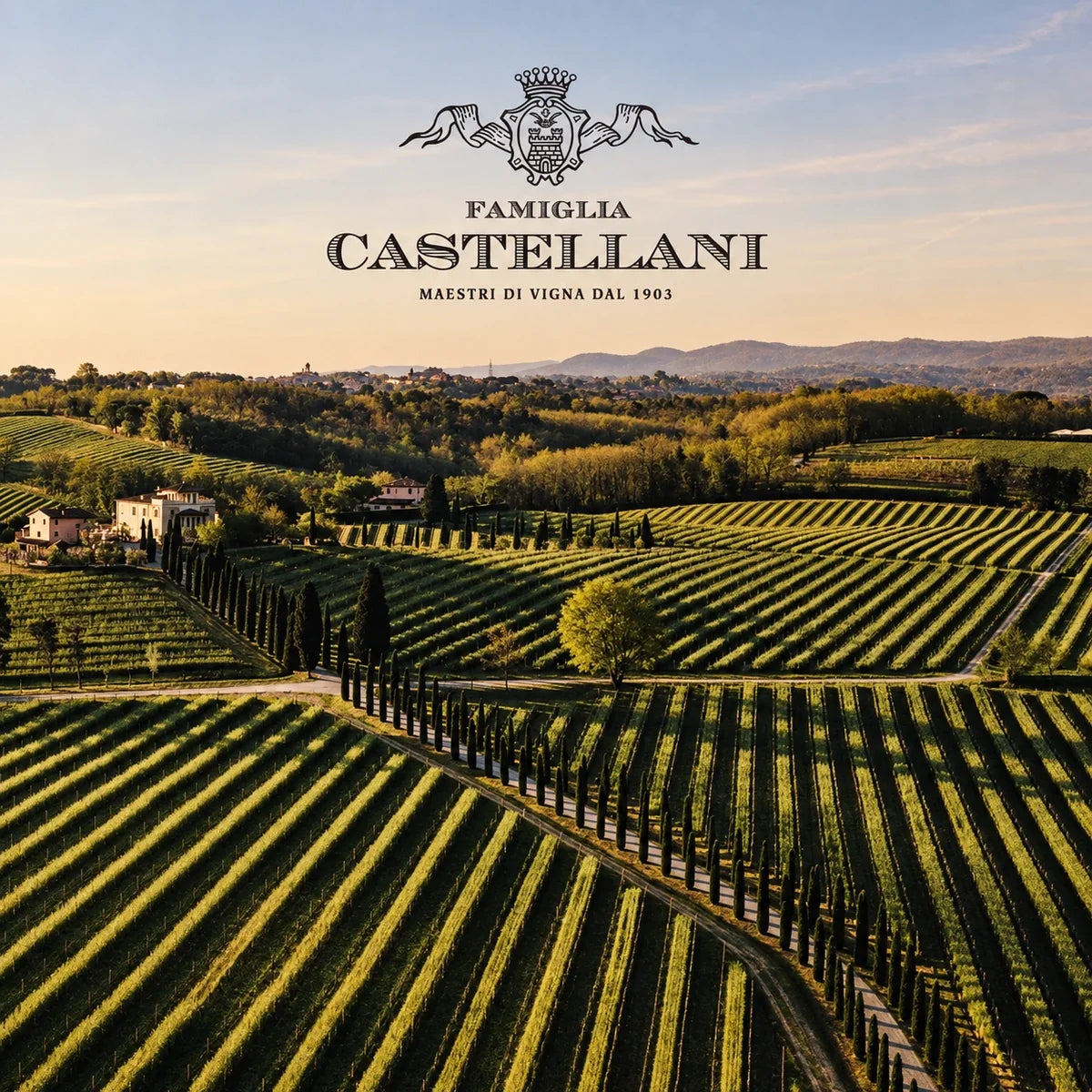 Castellani, sfeerfoto met logo