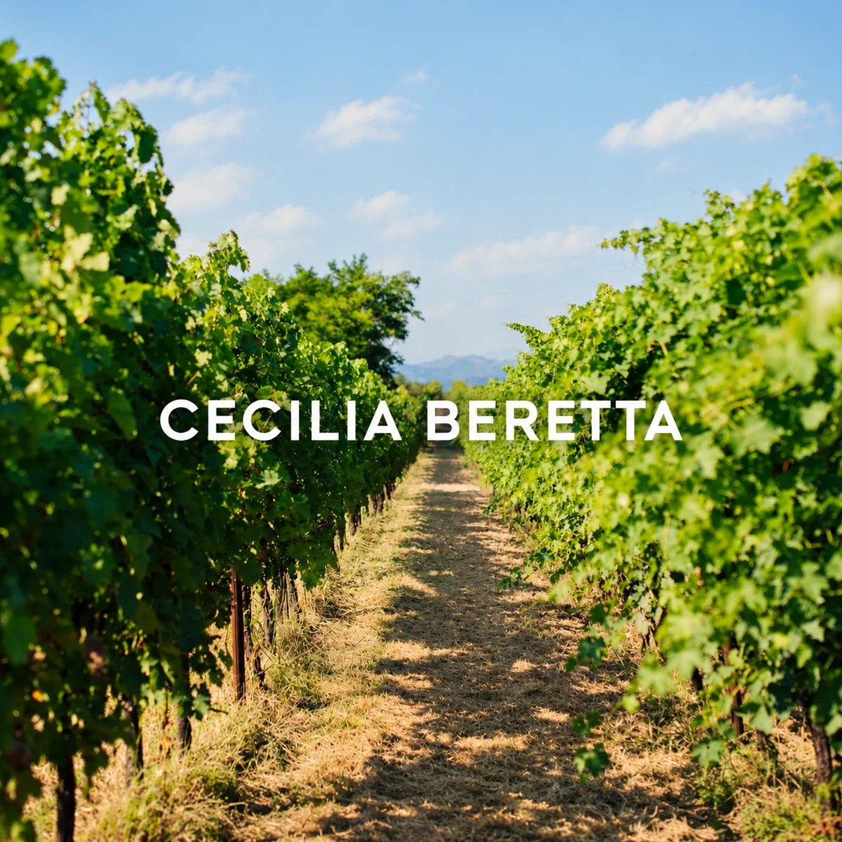 Cecilia Beretta, sfeerfoto met logo