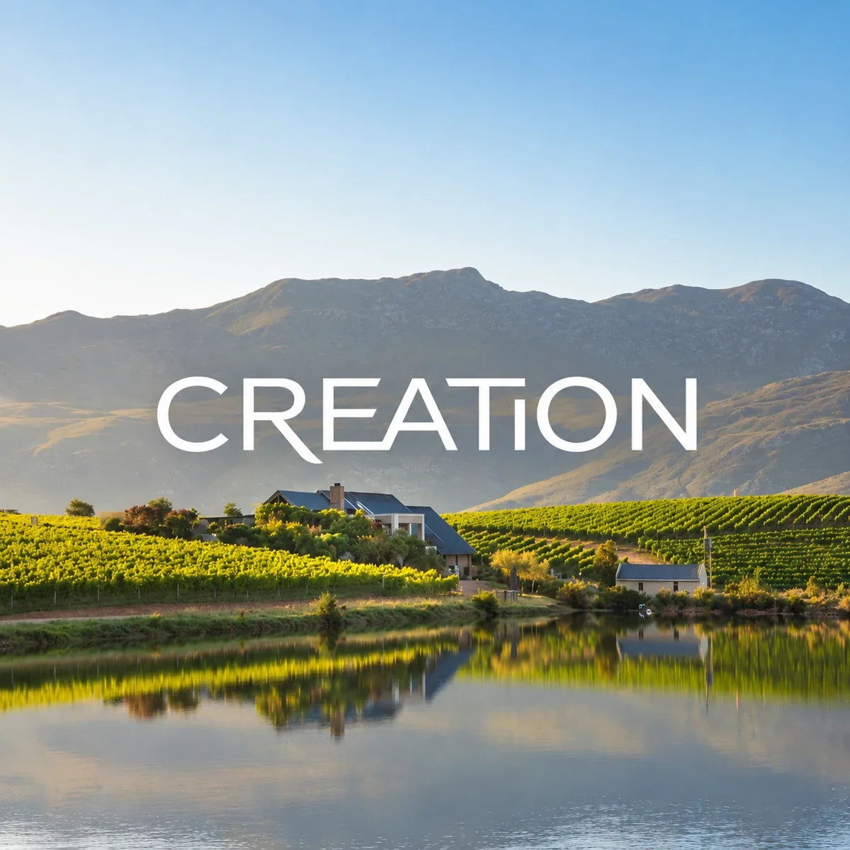 Creation Wines, sfeerfoto met logo