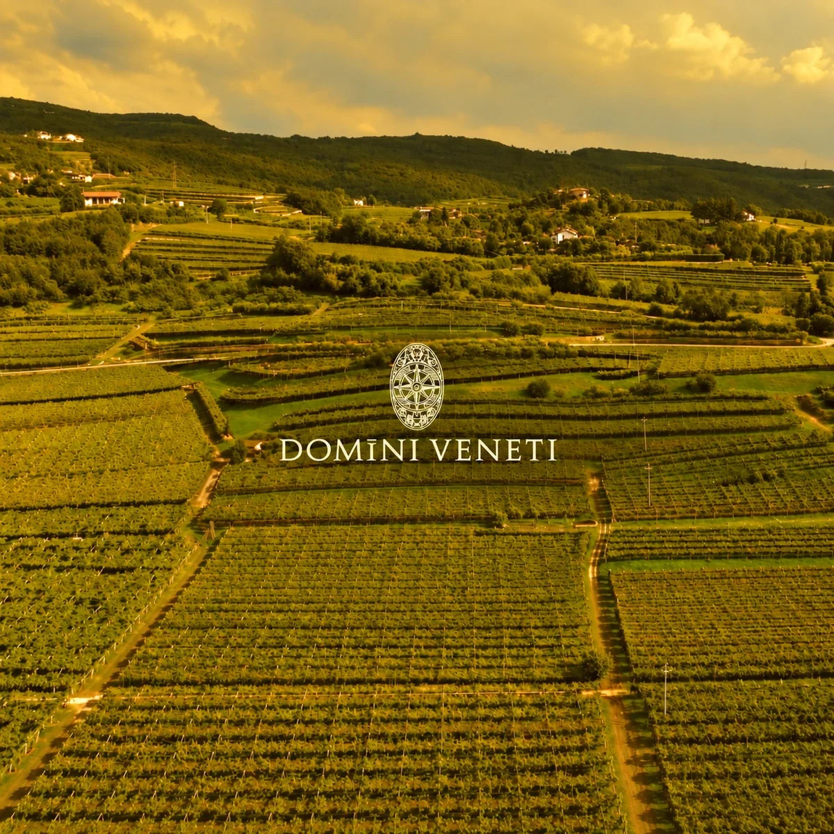 Domini Veneti, sfeerfoto met logo
