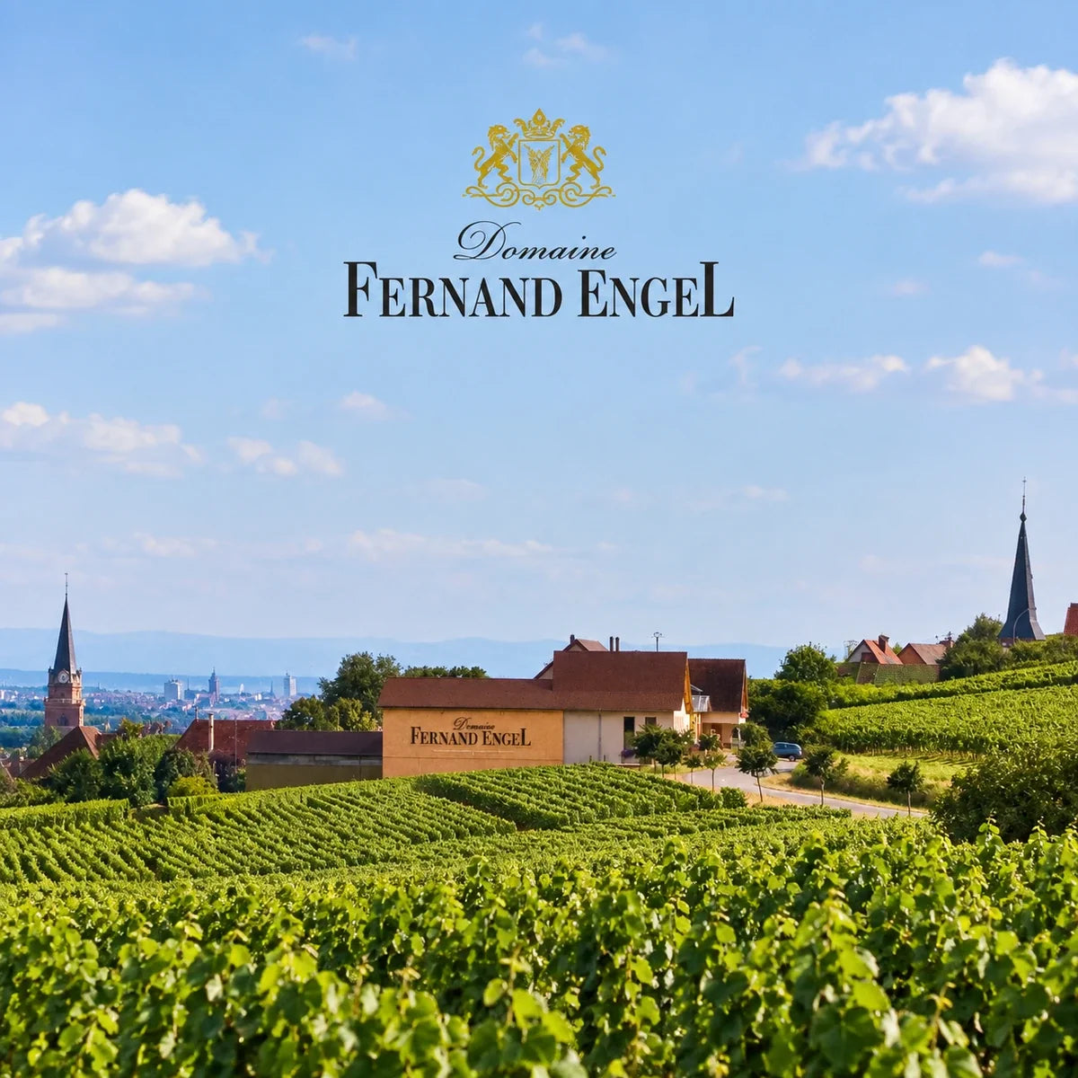 Fernand Engel, sfeerfoto met logo