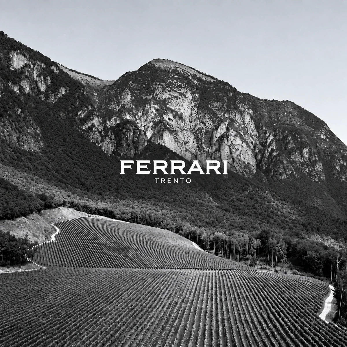 Ferrari, sfeerfoto met logo