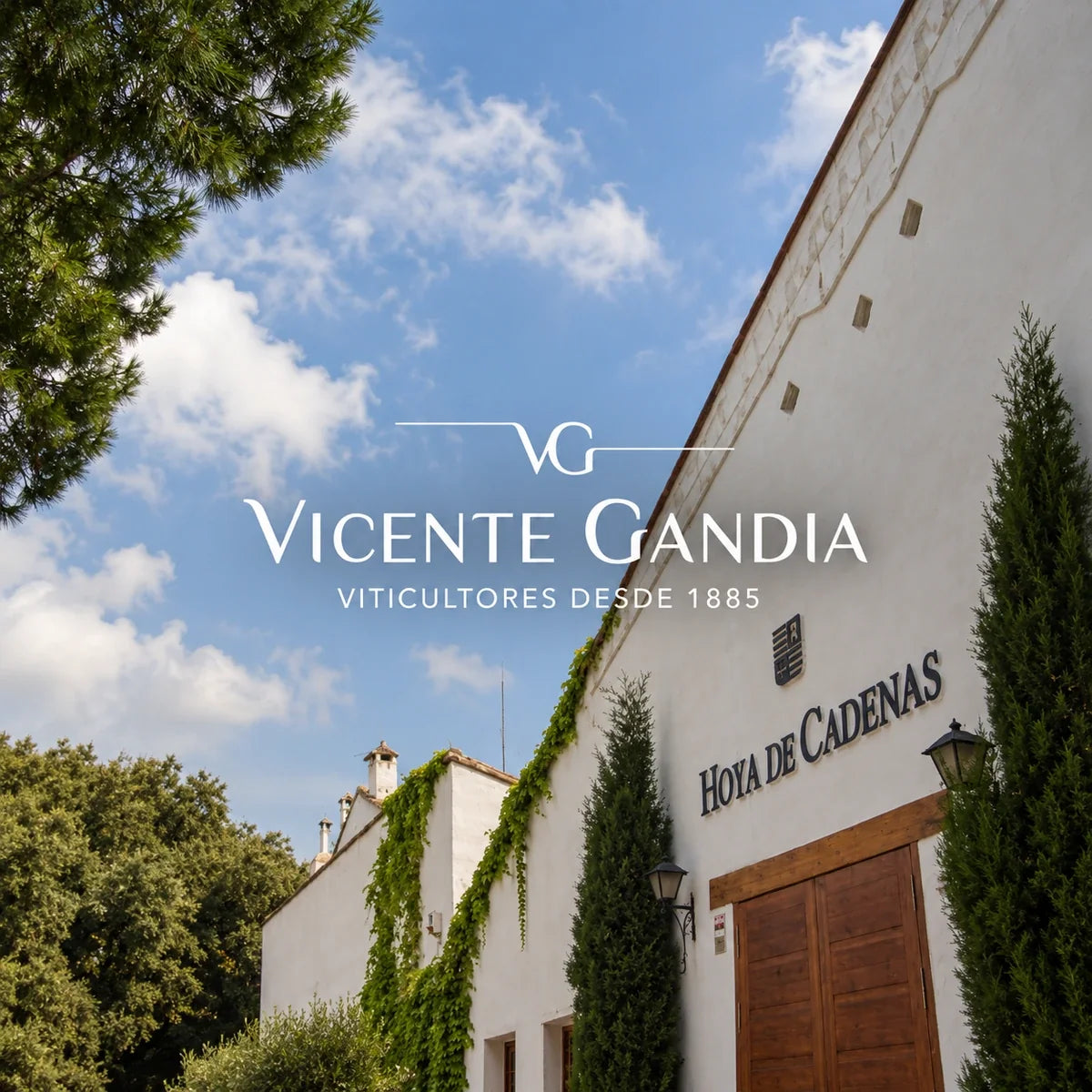 Vicente Gandia, sfeerfoto met logo