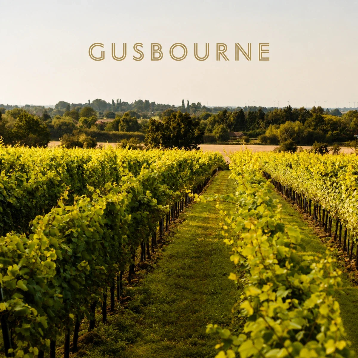 Gusbourne, sfeerfoto met logo