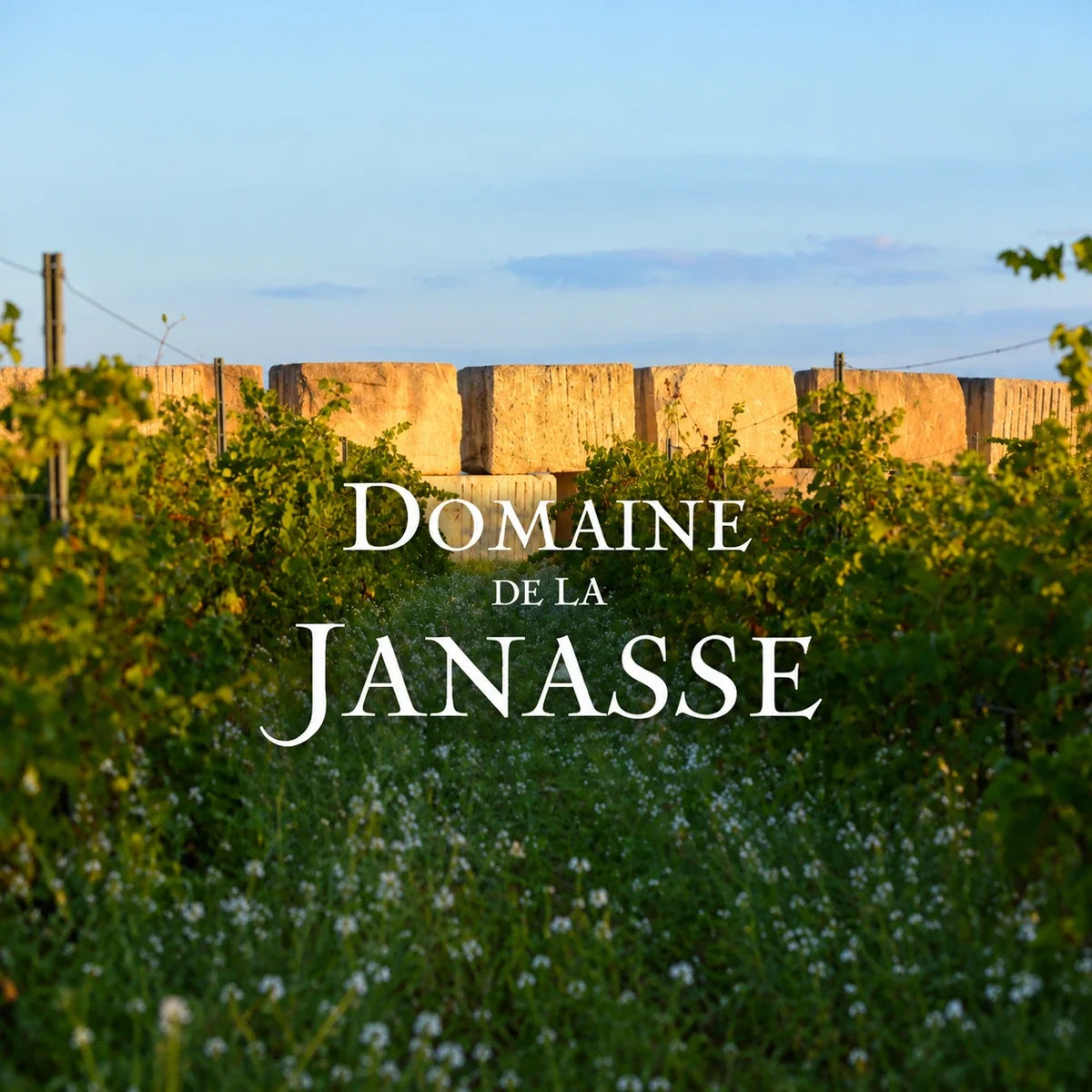 Domaine de la Janasse, sfeerfoto met logo