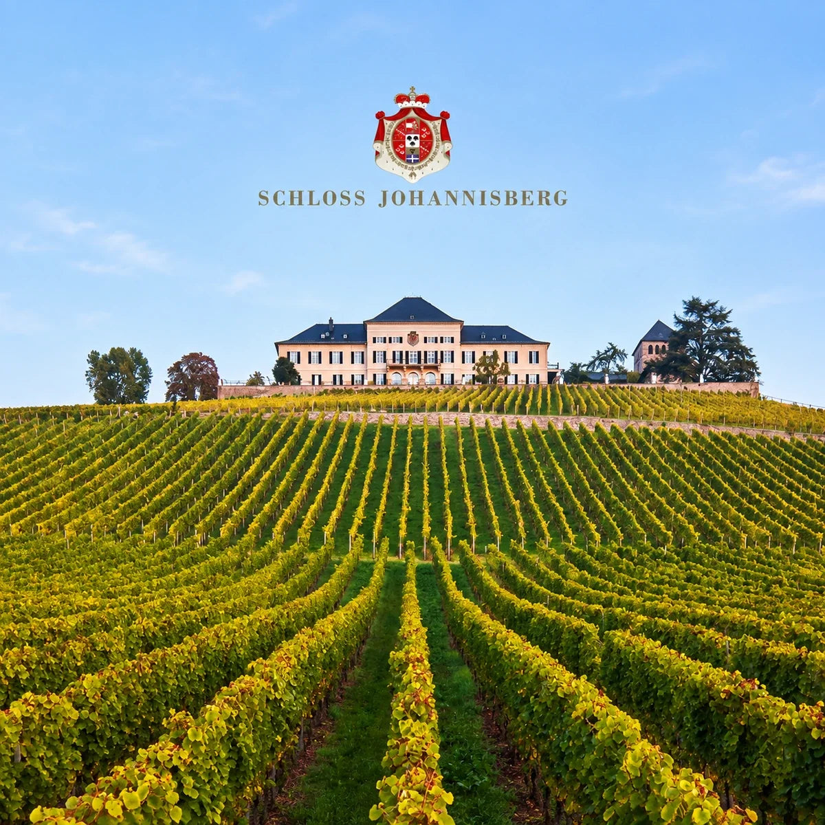 Schloss Johannisberg, sfeerfoto met logo