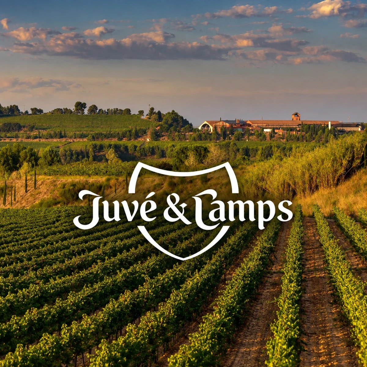 Juvé & Camps, sfeerfoto met logo