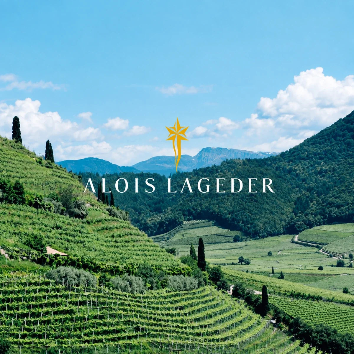 Alois Lageder, sfeerfoto met logo