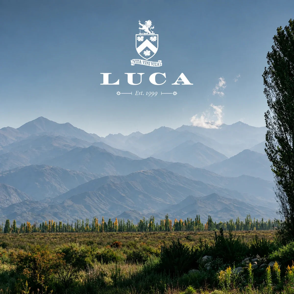 Luca, sfeerfoto met logo