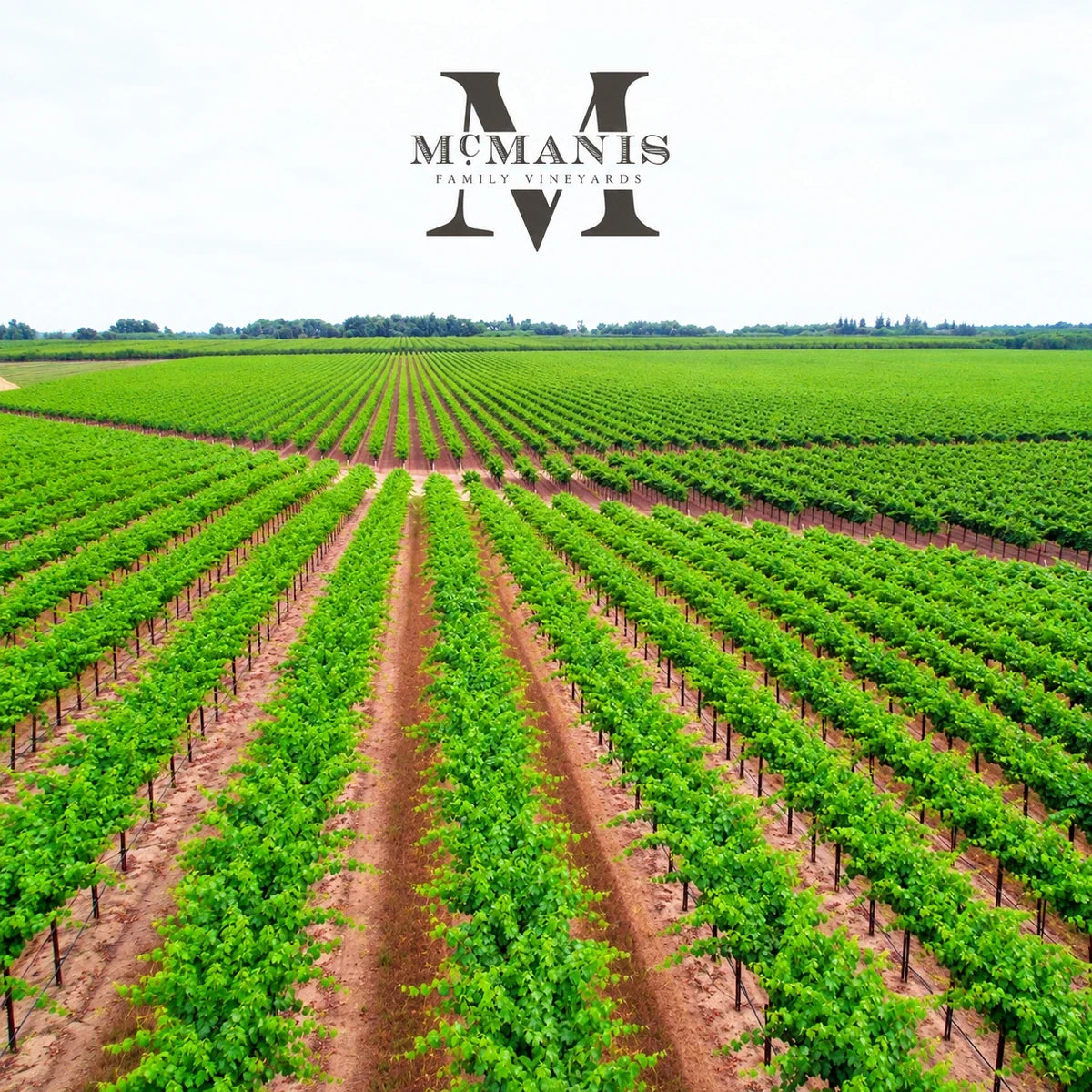 McManis, sfeerfoto met logo