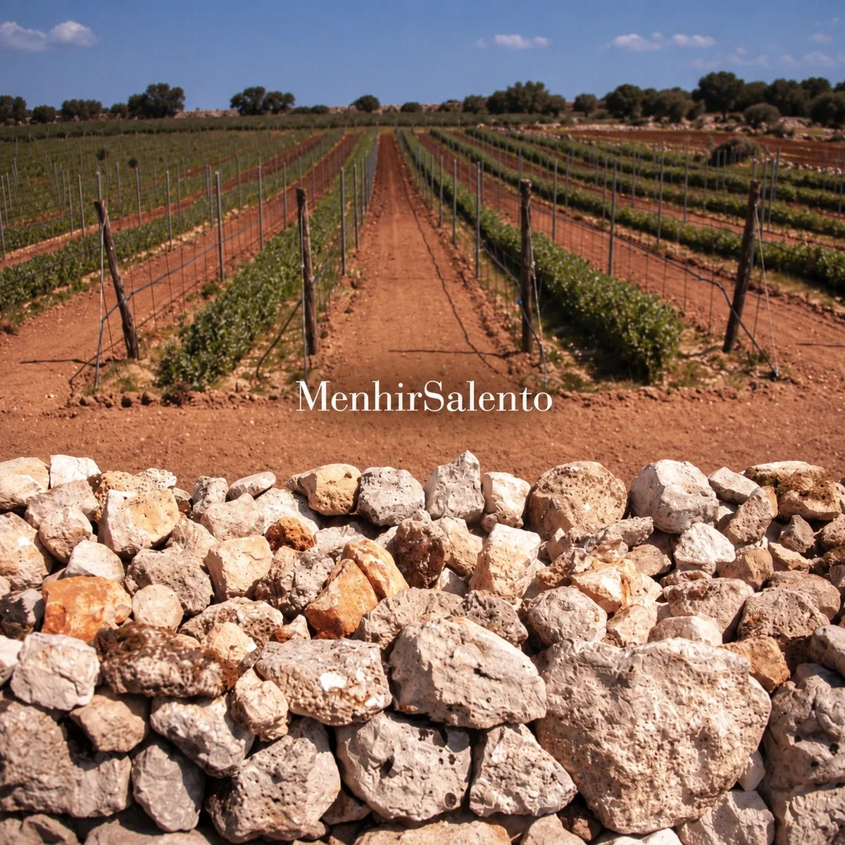 Cantine Menhir, sfeerfoto met logo