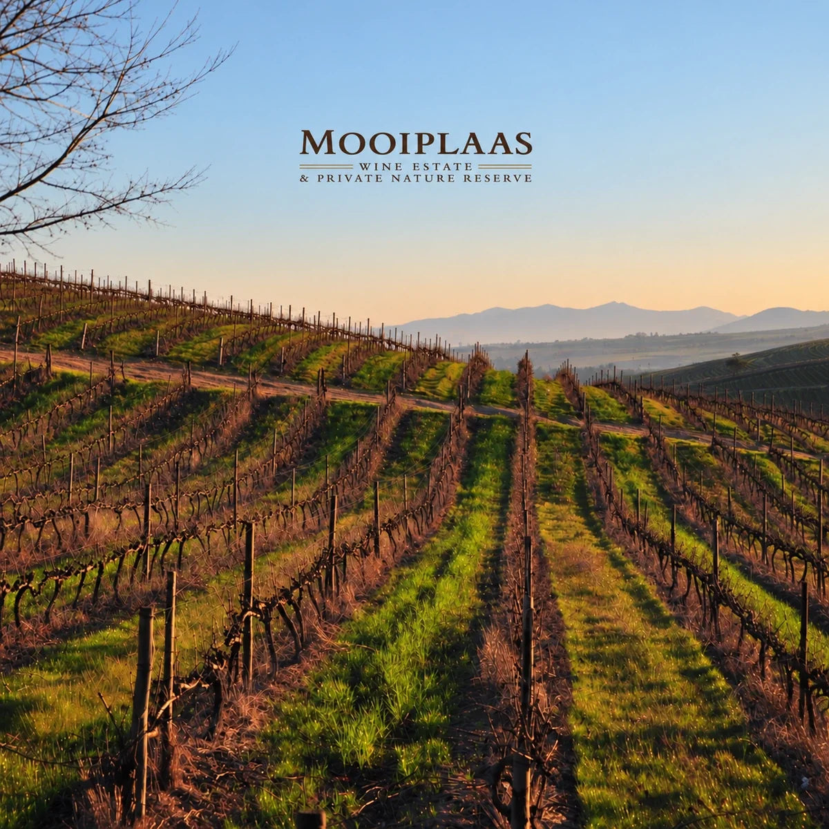 Mooiplaas, sfeerfoto met logo