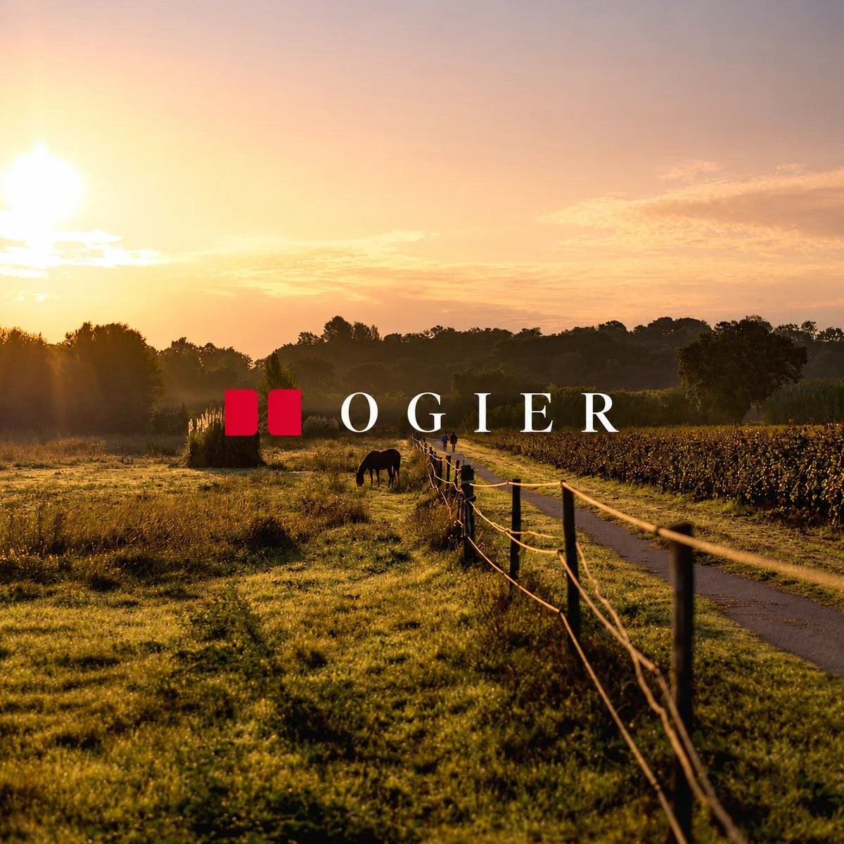 Ogier Caves des Papes, sfeerfoto met logo