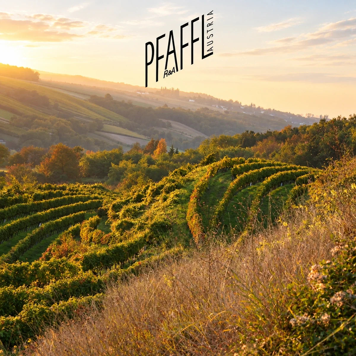 Pfaffl, sfeerfoto met logo