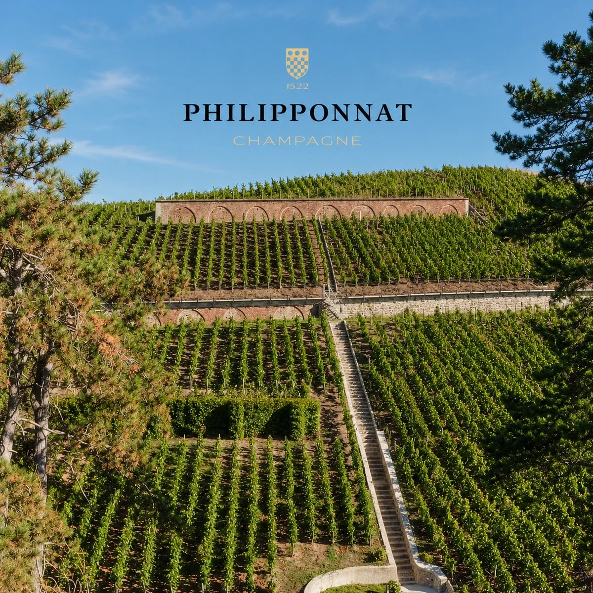 Champagne Philipponnat, sfeerfoto met logo