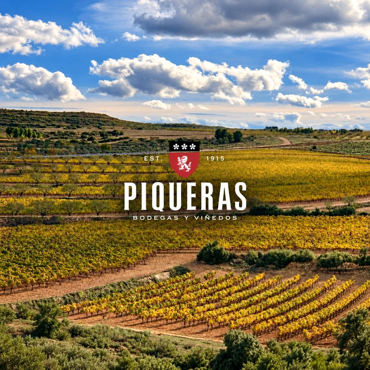 Bodegas Piqueras, sfeerfoto met logo
