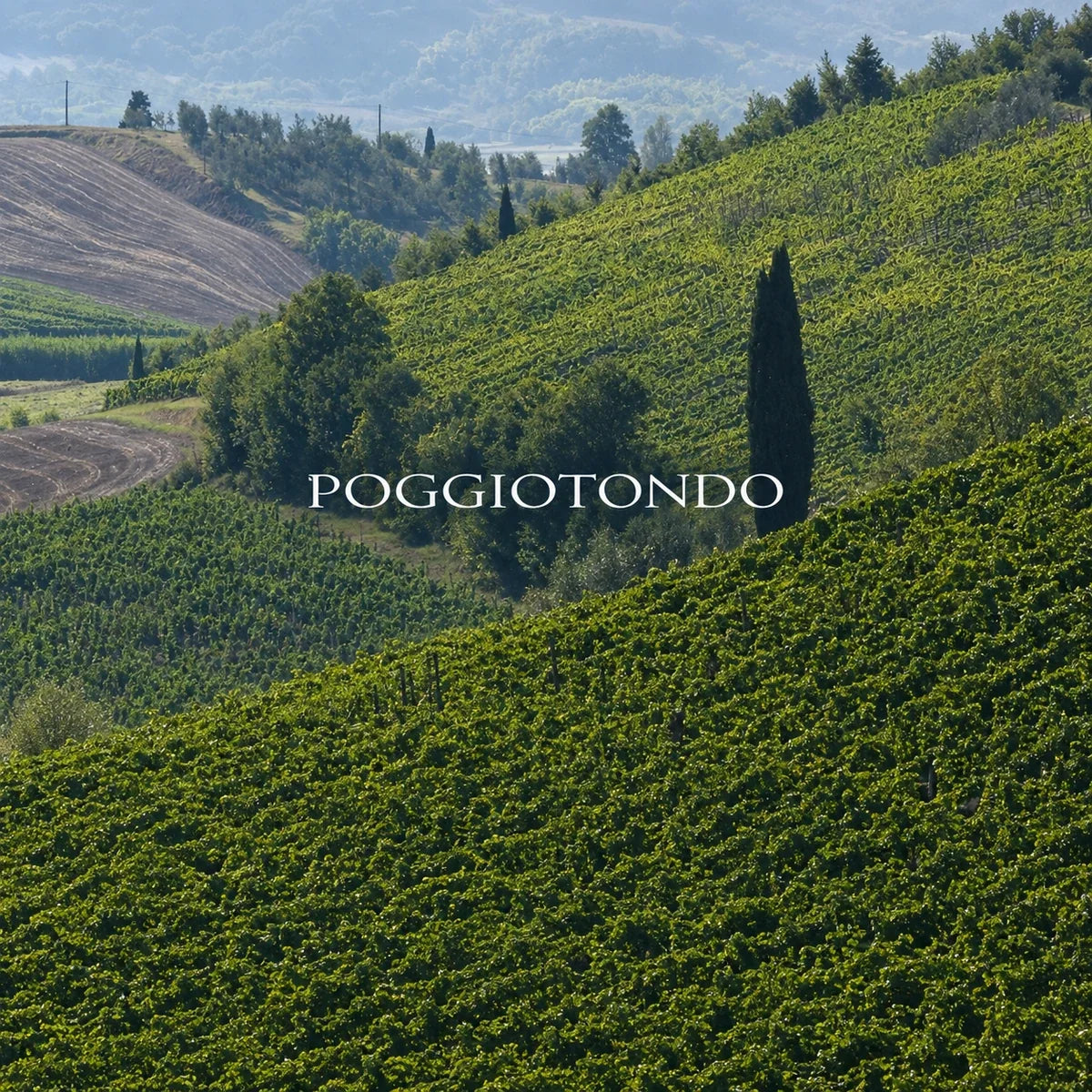 Poggiotondo, sfeerfoto met logo