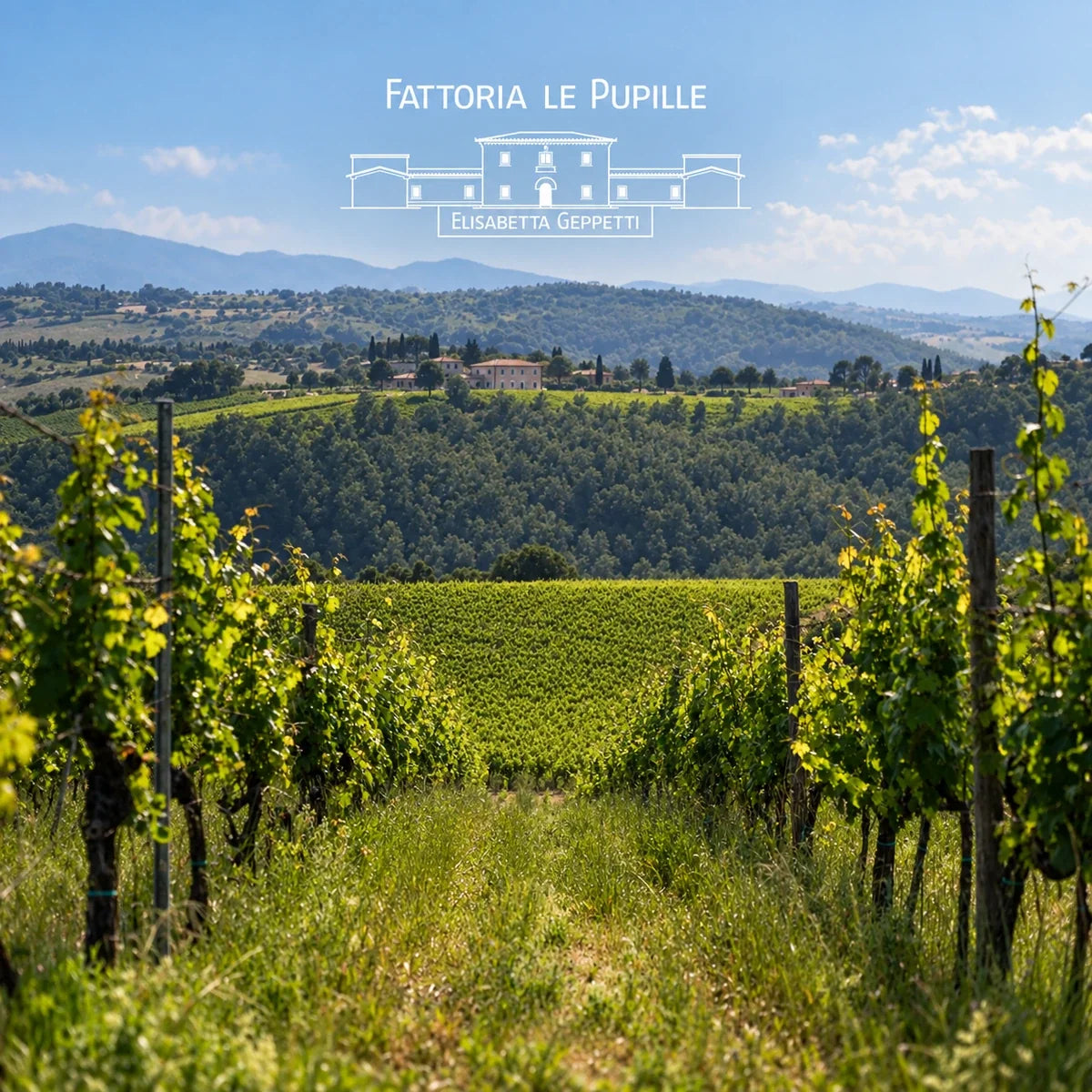 Fattoria Le Pupille, sfeerfoto met logo